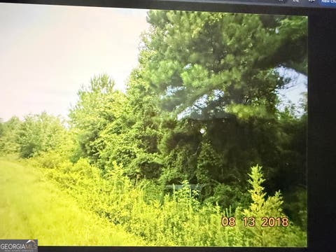 Photo of 17020 Whitaker Road, Roberta, GA 31078 (MLS # 10807300)