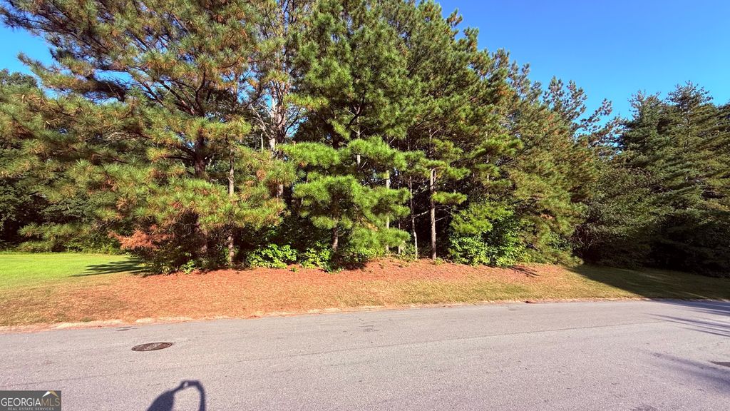 Photo of 0 Fireside Way, Fairburn, GA 30213 (MLS # 10706391)