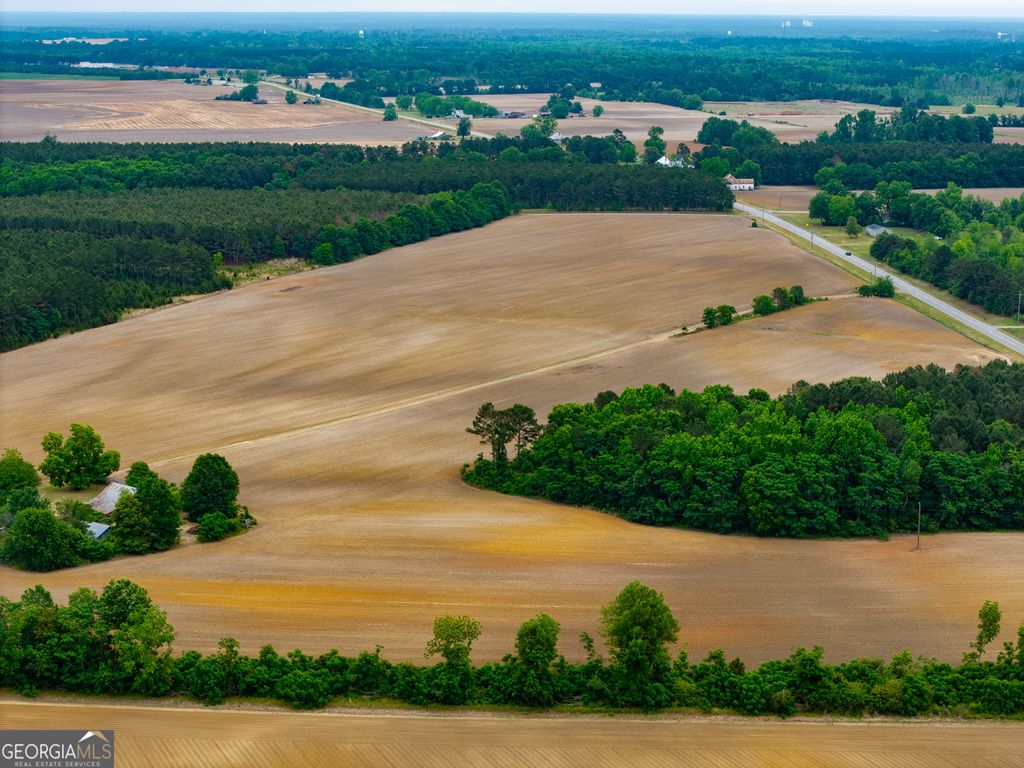 Photo of 1 Highway 80, Stapleton, GA 30823 (MLS # 10771398)