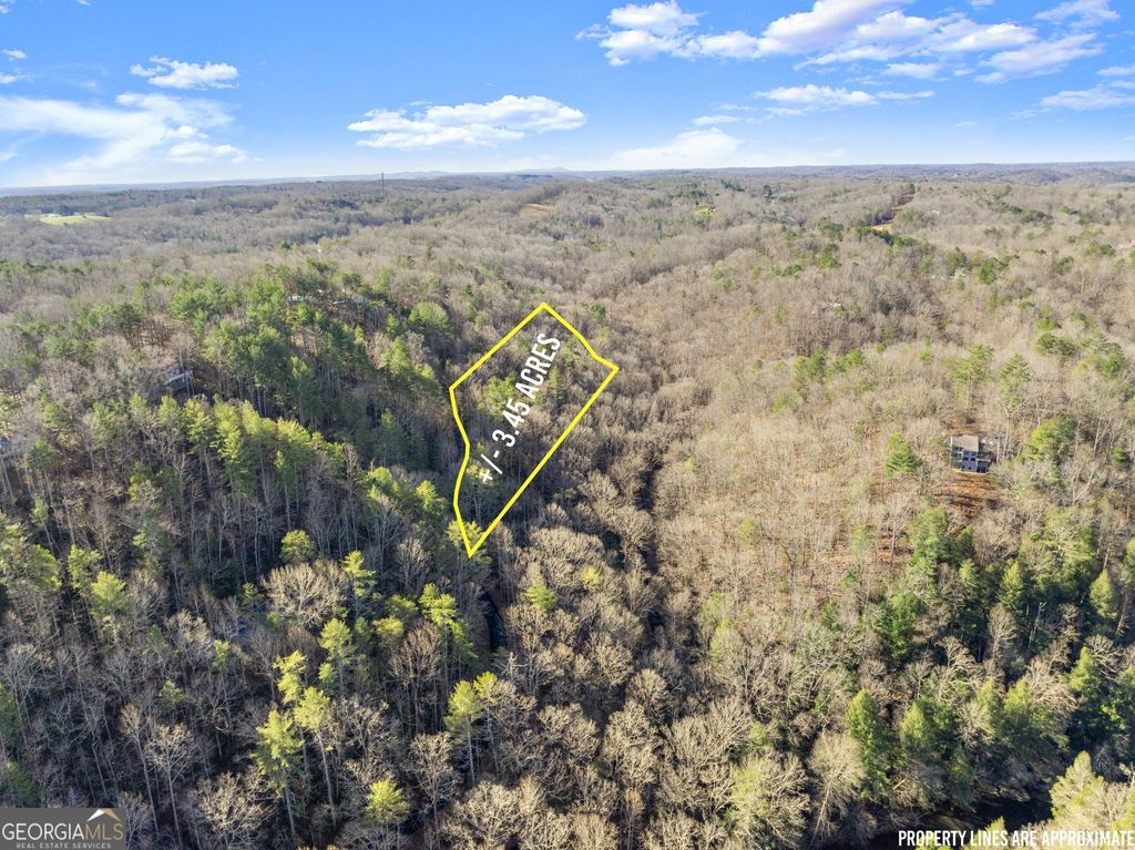 Photo of 0 River View Lots 12 &amp; 13 Trail W, Dahlonega, GA 30533 (MLS # 10662707)