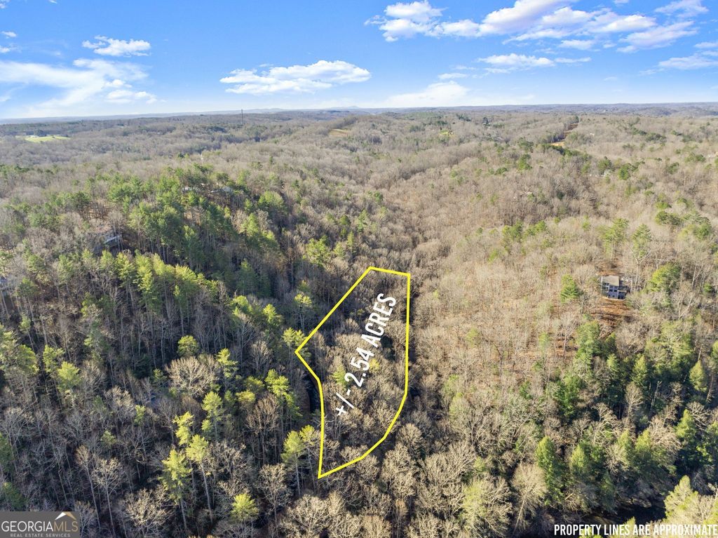 Photo of 0 River View Lots 12 &amp; 13 Trail W, Dahlonega, GA 30533 (MLS # 10662707)