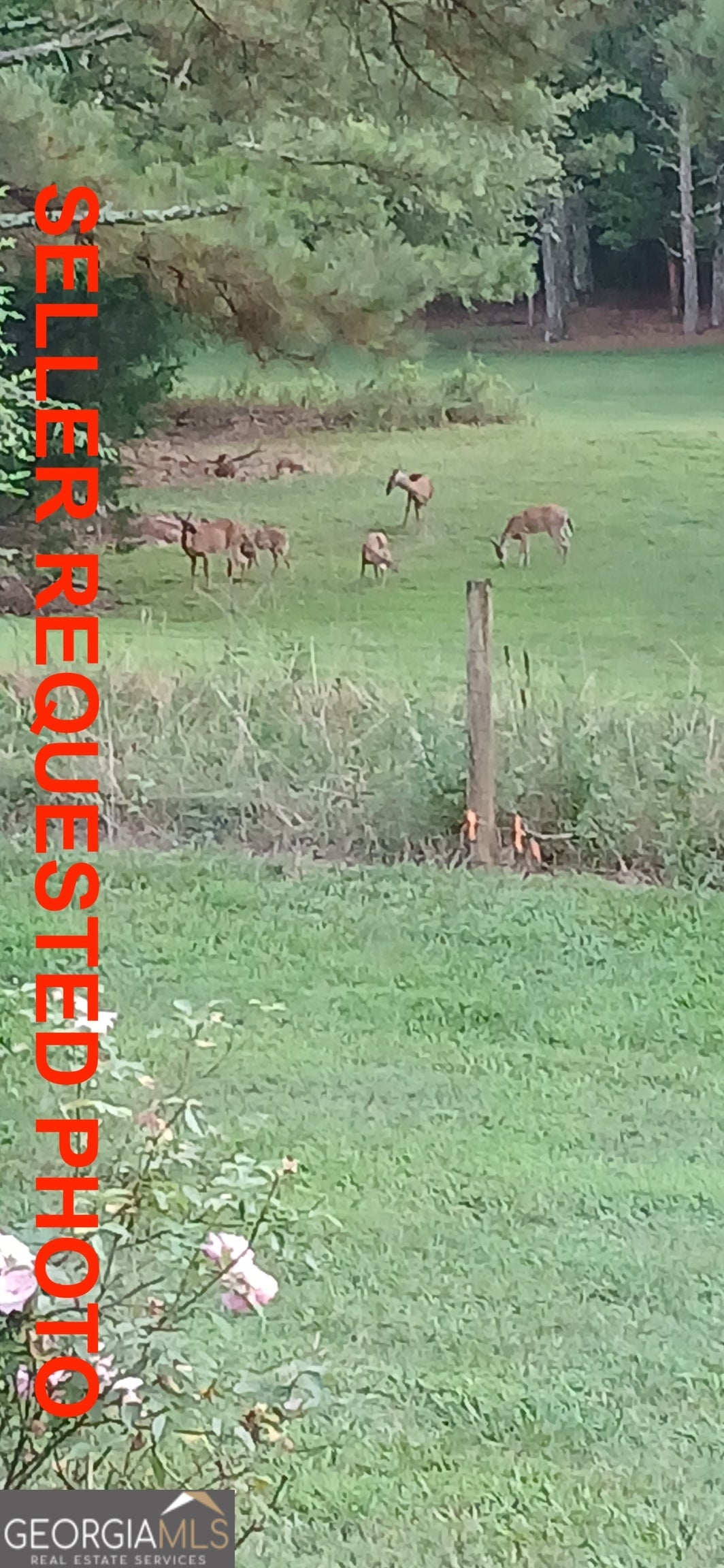 1593 Old Alabama RD