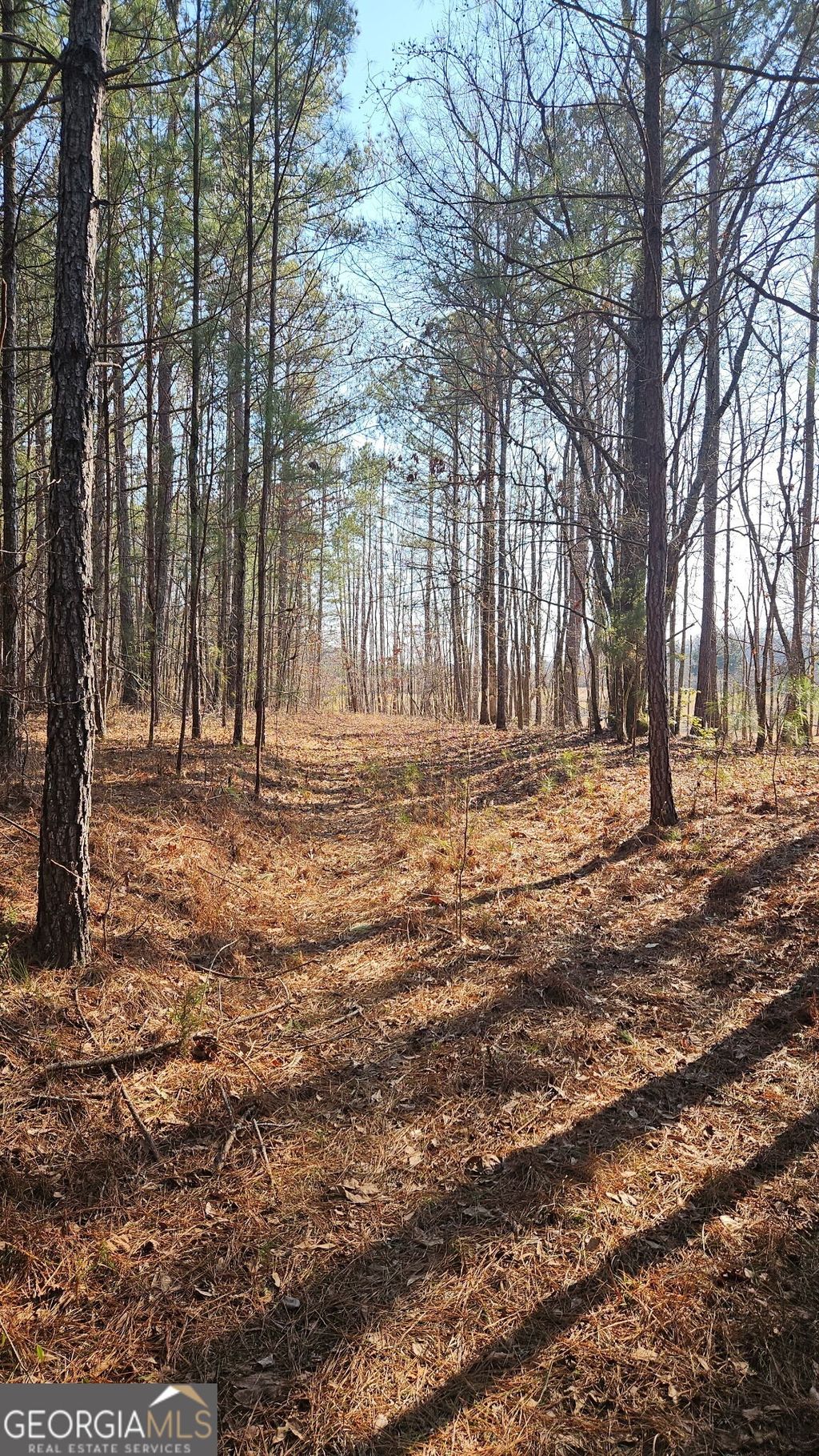 Photo of 0 Old Zebulon Road, Zebulon, GA 30295 (MLS # 10691927)