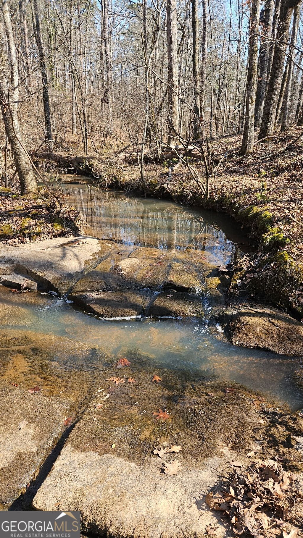 Photo of 0 Old Zebulon Road, Zebulon, GA 30295 (MLS # 10691927)