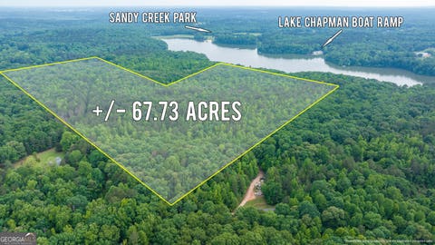 Photo of 0 Nowhere Lane, Athens, GA 30601 (MLS # 10824175)