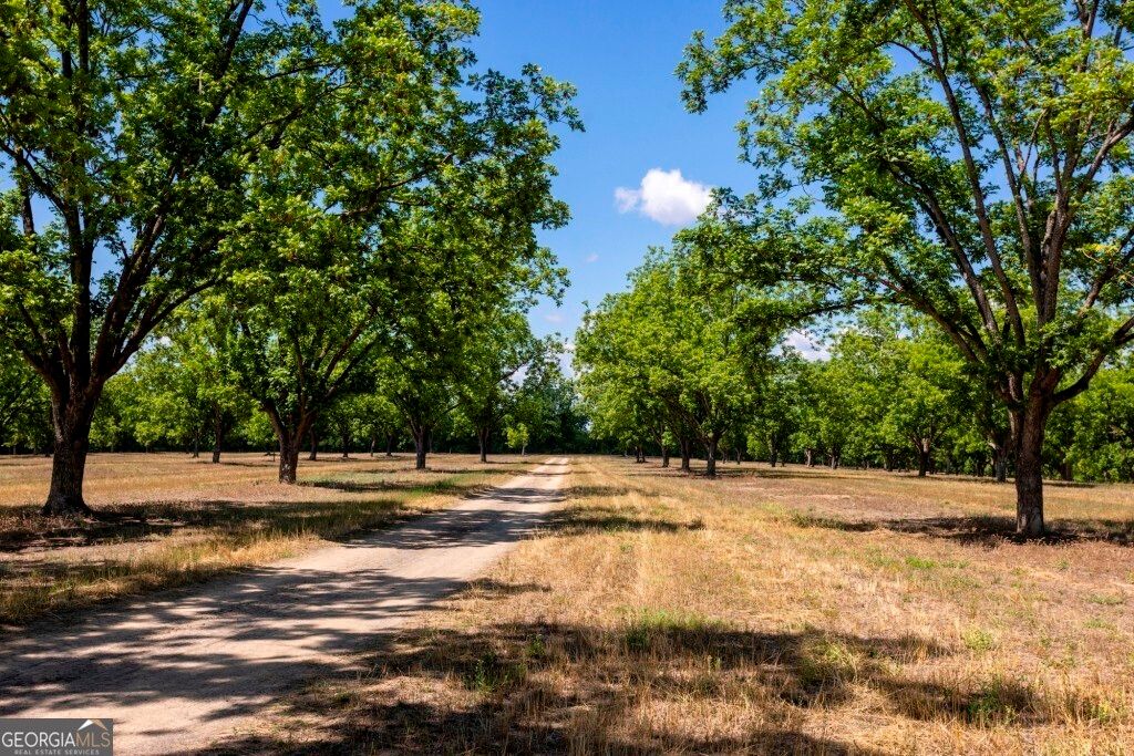 Photo of 16505 Union Road, Metter, GA 30439 (MLS # 10757551)