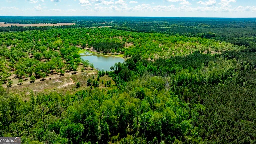 Photo of 16505 Union Road, Metter, GA 30439 (MLS # 10757551)