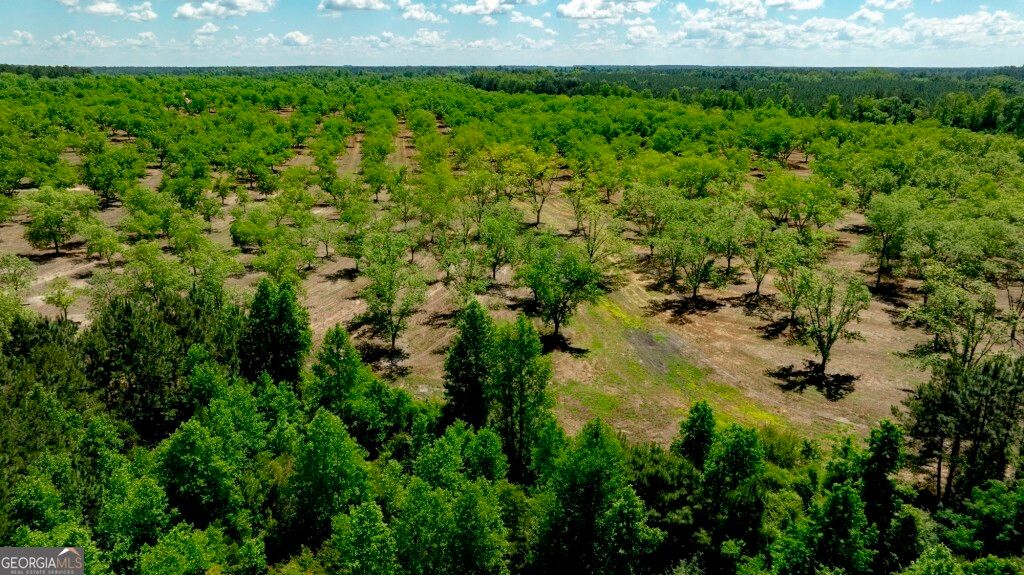 Photo of 16505 Union Road, Metter, GA 30439 (MLS # 10757551)