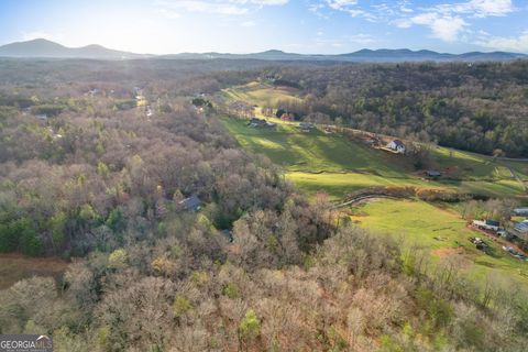 Agriculture in Cleveland GA 0 Highway 129 N. 10.jpg