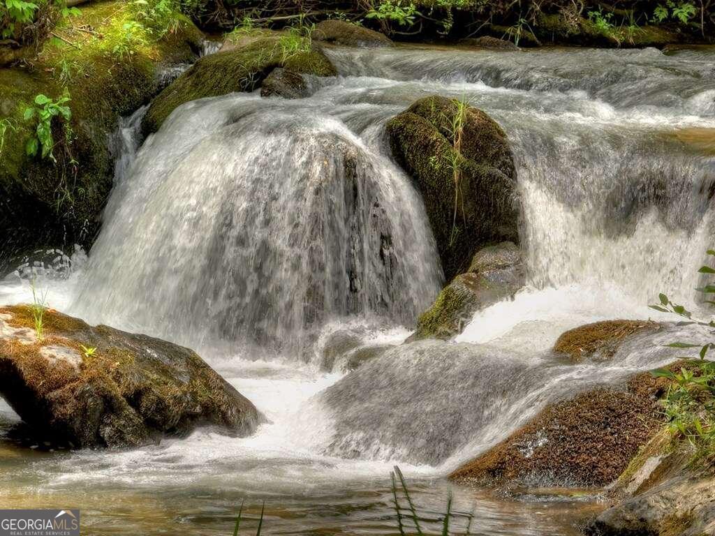 164 Water Dance TRL
