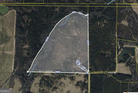 Photo of 0 Broom Road, Fitzgerald, GA 31750 (MLS # 10669283)