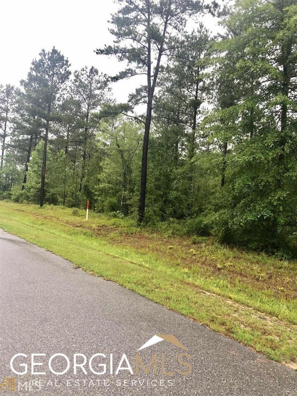 Photo of 0 Apalachicola Trail #LOT 41, Dublin, GA 31021 (MLS # 20128115)