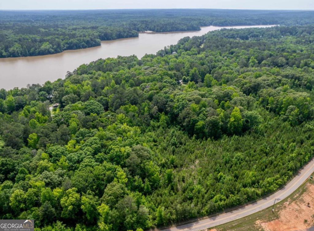 Photo of 136 N Little River, Eatonton, GA 31024 (MLS # 10685417)