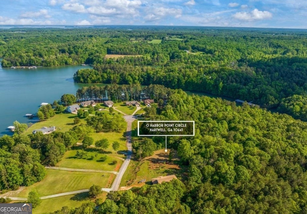 Photo of 424 Harbor Point Circle #LOT 8, Hartwell, GA 30643 (MLS # 10798840)