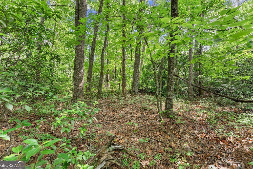 Photo of 0 Sweetheart Lane, Sautee Nacoochee, GA 30571 (MLS # 10850000)