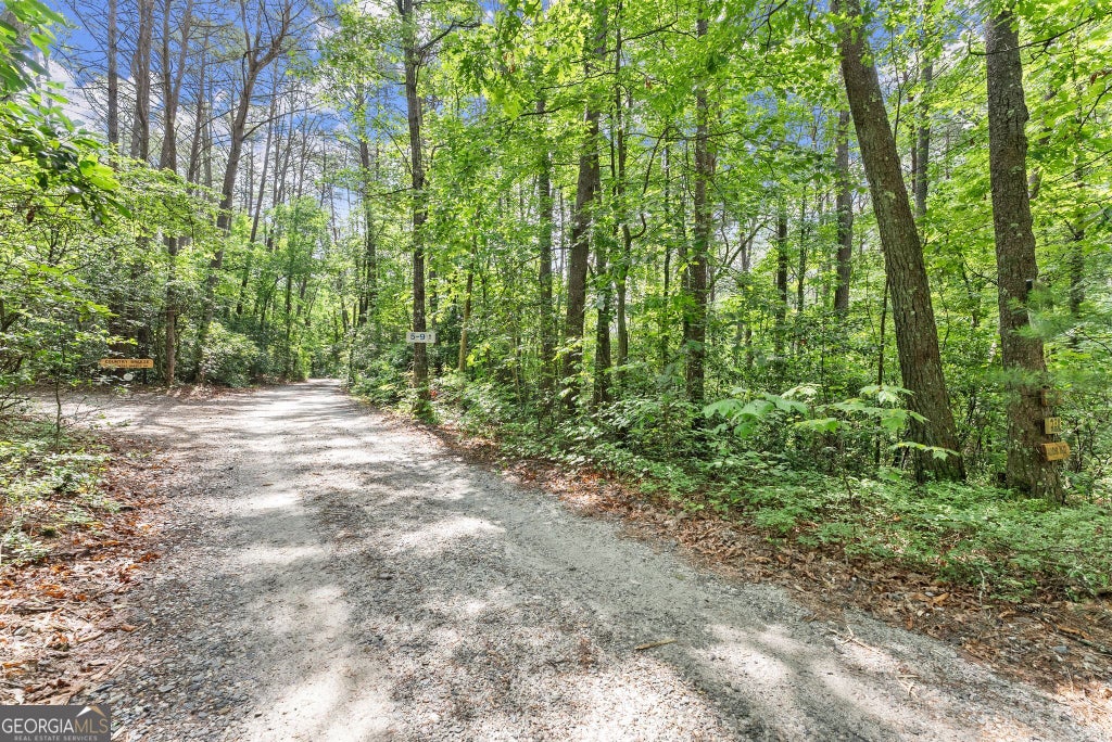 Photo of 0 Sweetheart Lane, Sautee Nacoochee, GA 30571 (MLS # 10850000)