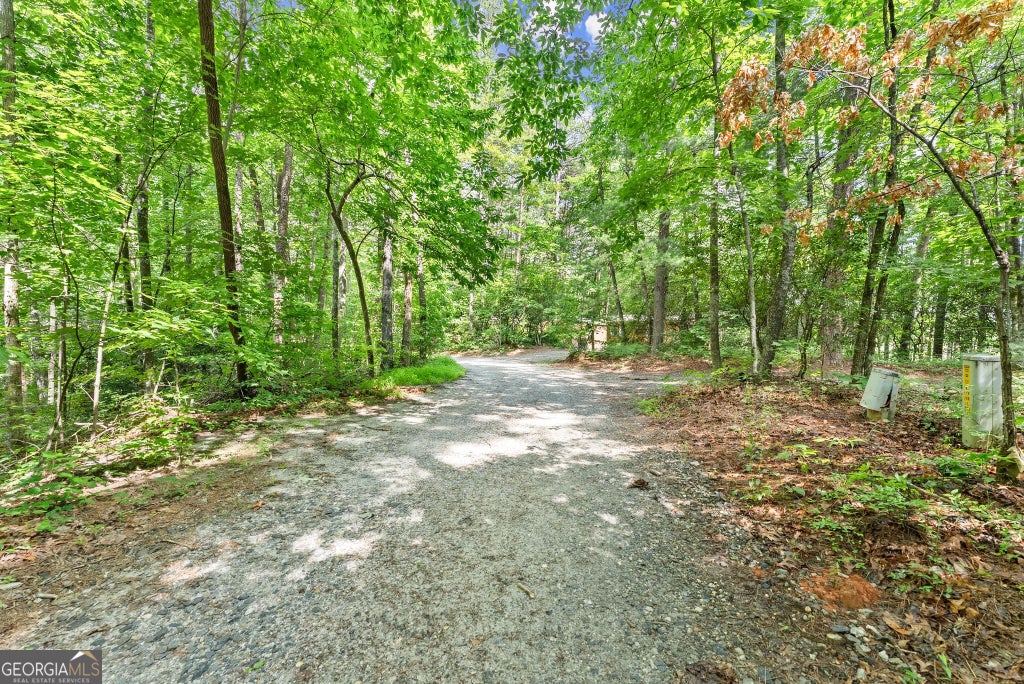 Photo of 0 Sweetheart Lane, Sautee Nacoochee, GA 30571 (MLS # 10850000)