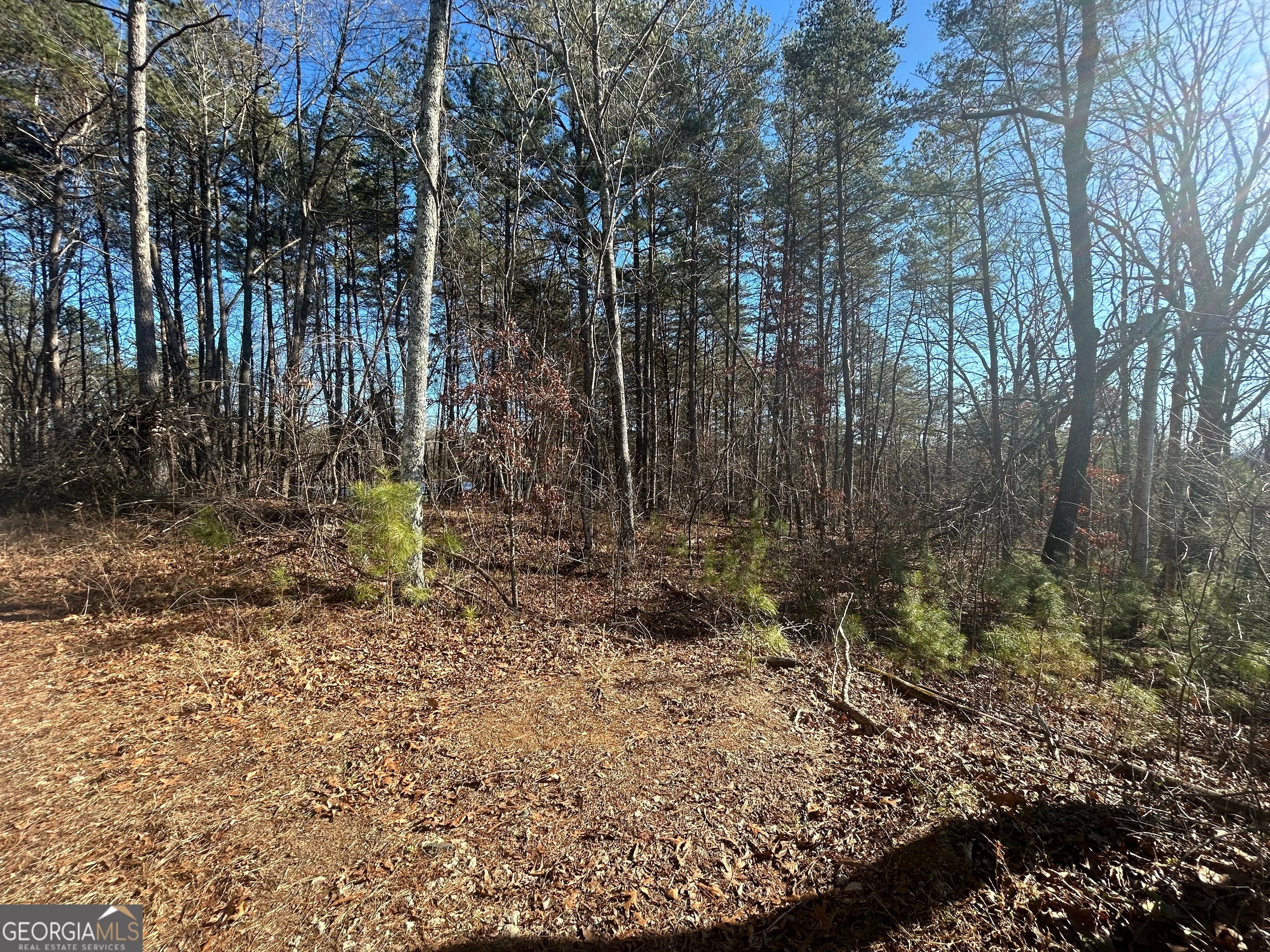 0 Highland Tree CT