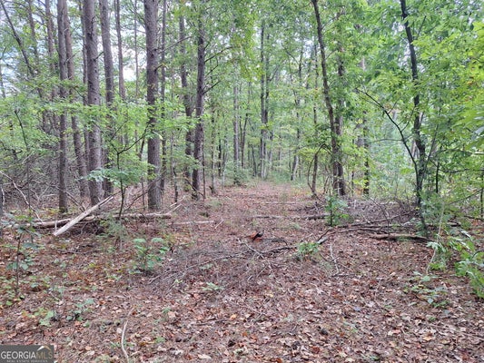 HIGHLAND CT, CALHOUN, GA 30701 - Image cea4f92b885af66e53d7559d7cf3cf85/3311249291