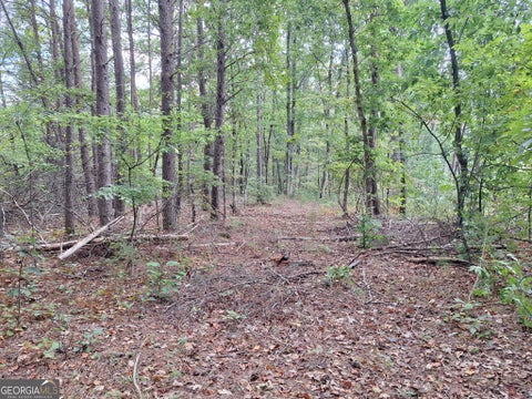 Photo for 0 Highland Tree CT
