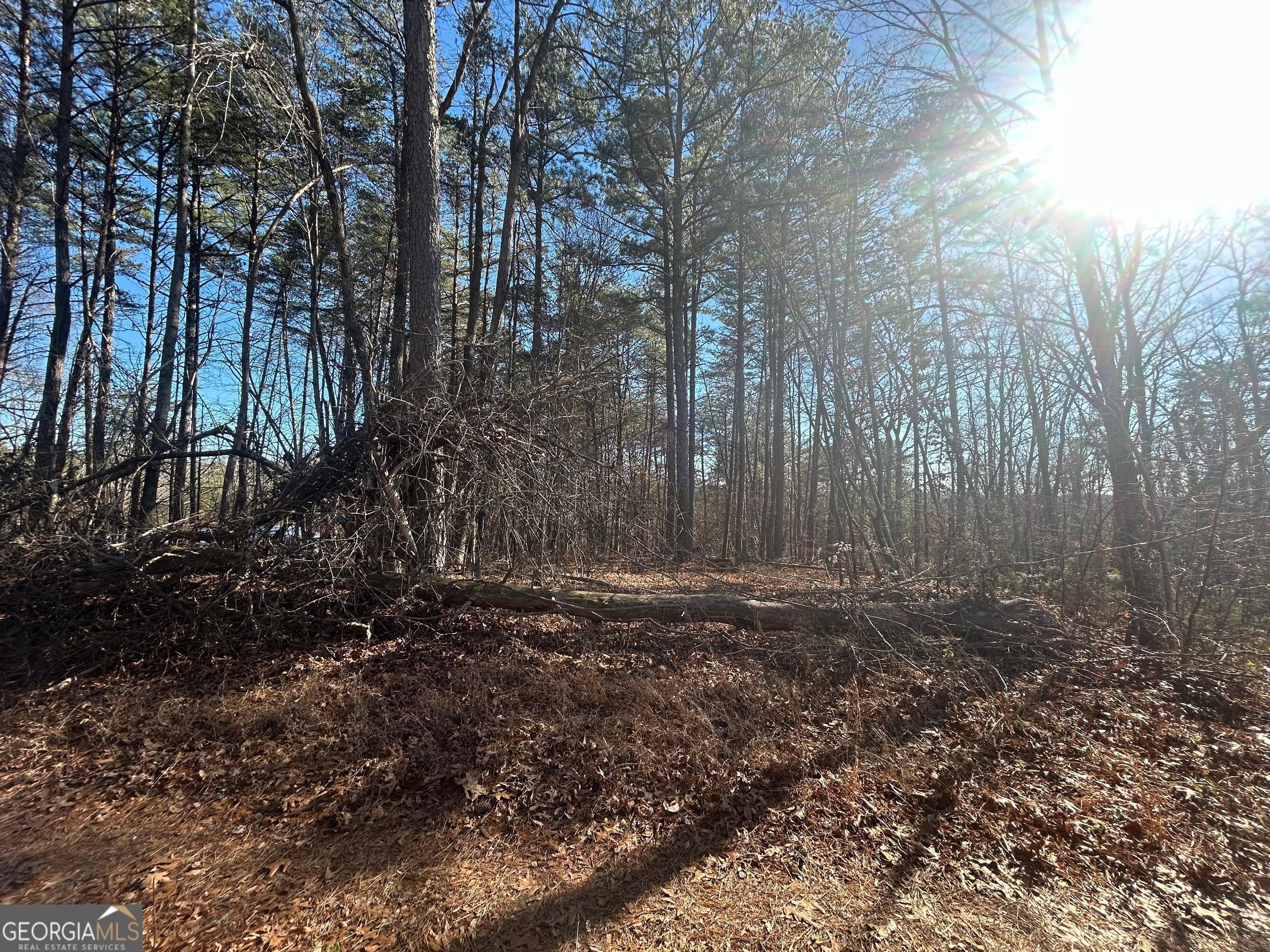 0 Highland Tree CT