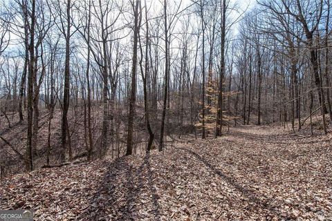 86.99 Acres Mincie Mountain Murrayville GA 30564