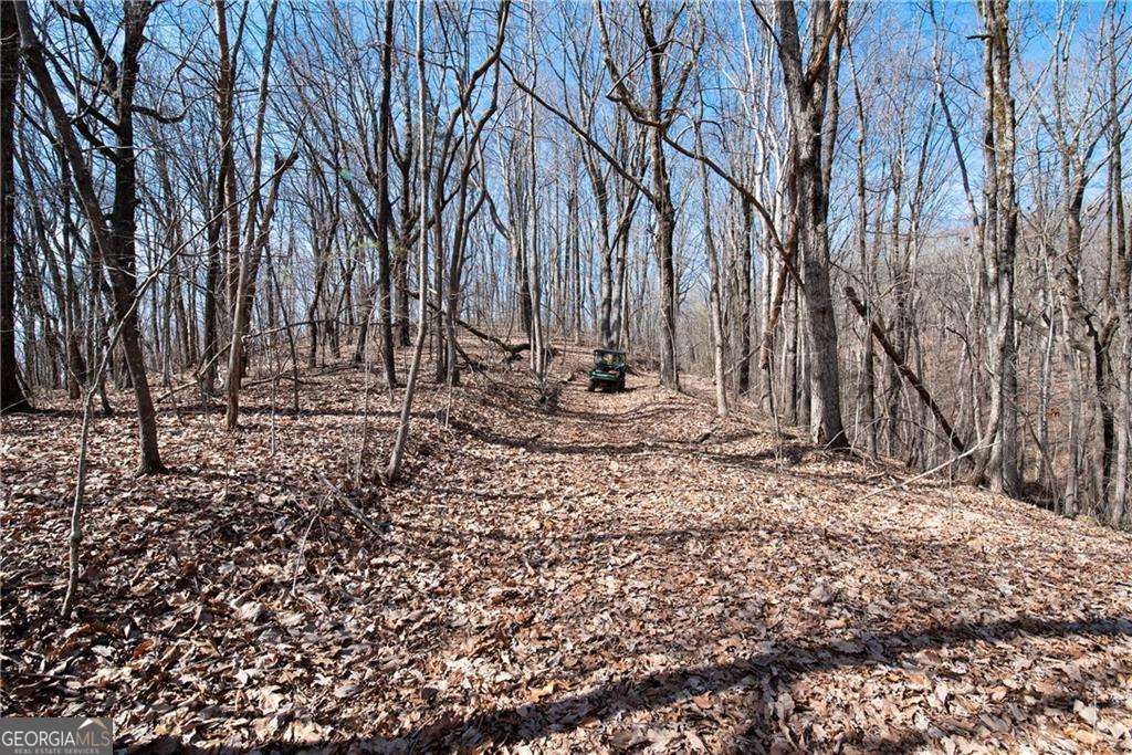 86.99 Acres Mincie Mountain