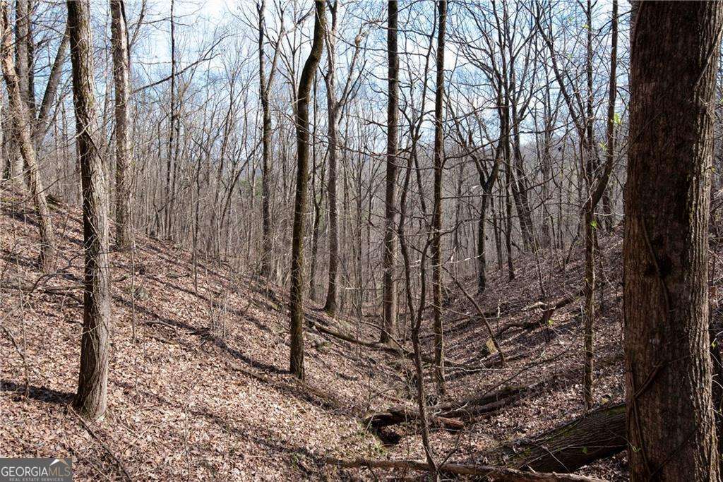 86.99 Acres Mincie Mountain