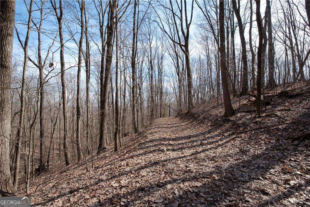 86.99 Acres Mincie Mountain