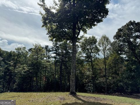 A home in Hiawassee