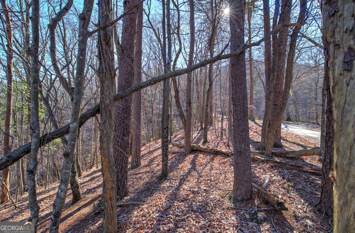 0 Walnut Mountain RD