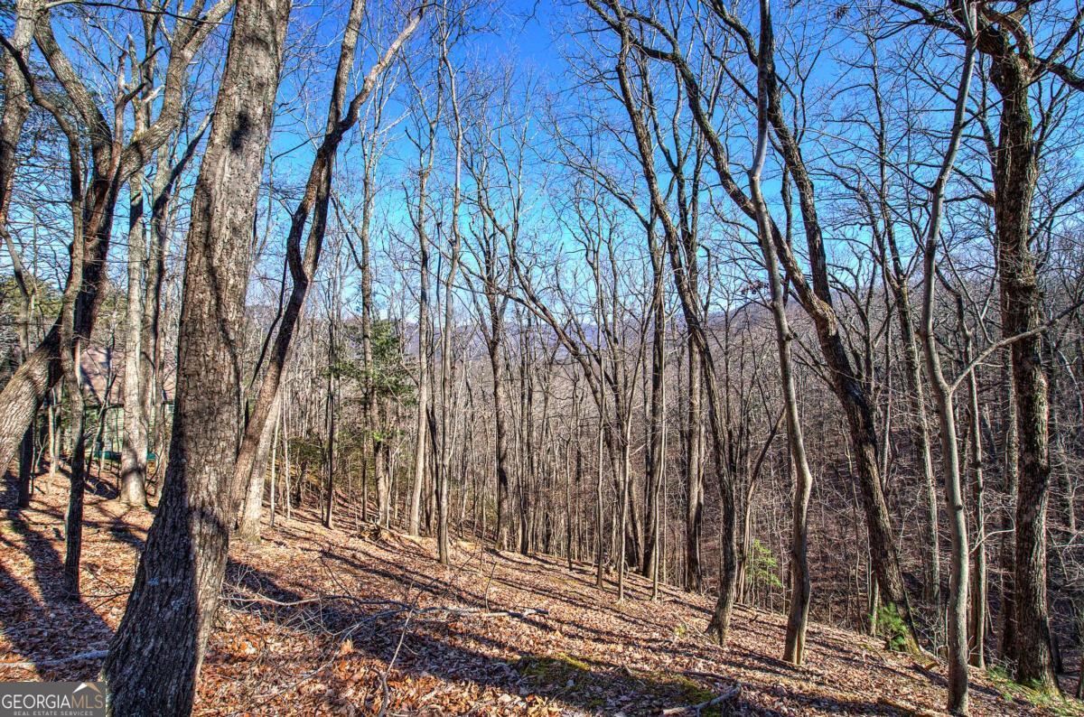 0 Walnut Mountain RD