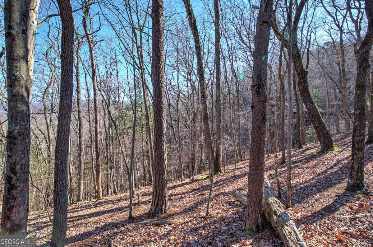 0 Walnut Mountain RD