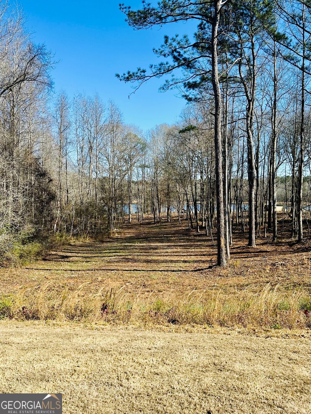Photo of 622 Lake Varner Drive, Covington, GA 30014 (MLS # 10673239)