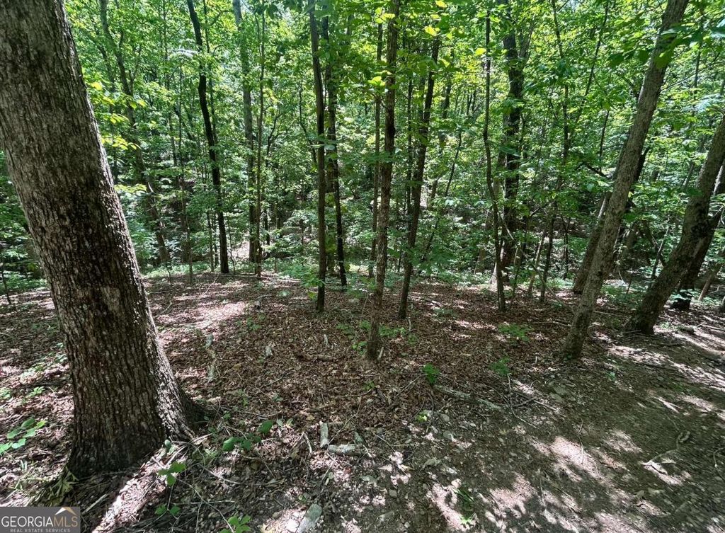 Photo of 0 Fouts Mill Rd, Douglasville, GA 30135 (MLS # 10762431)