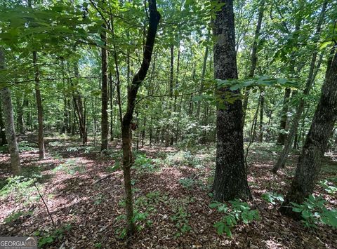 Photo of 0 Fouts Mill Rd, Douglasville, GA 30135 (MLS # 10762431)