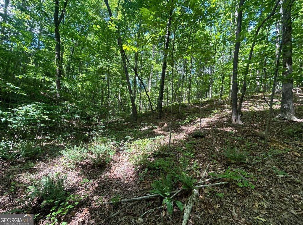 Photo of 0 Fouts Mill Rd, Douglasville, GA 30135 (MLS # 10762431)