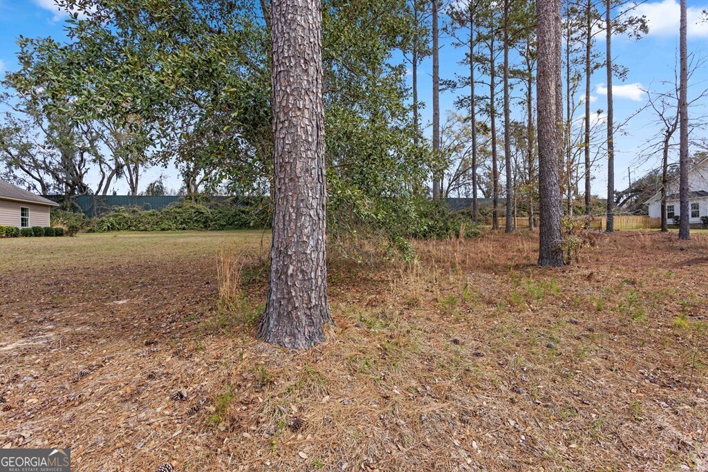 4227 Tillman Bluff