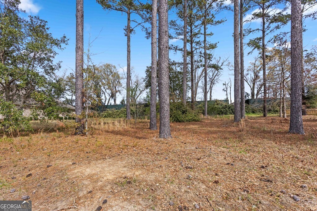 4227 Tillman Bluff