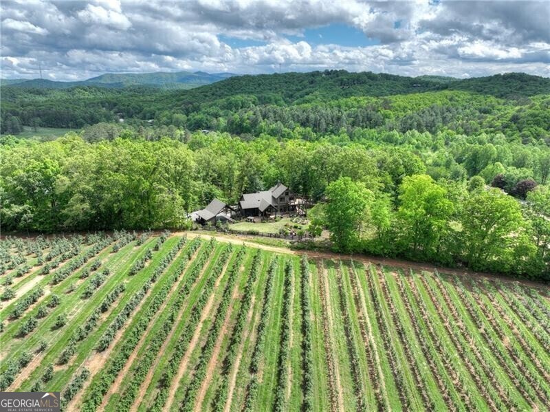 1241 Scenic DR