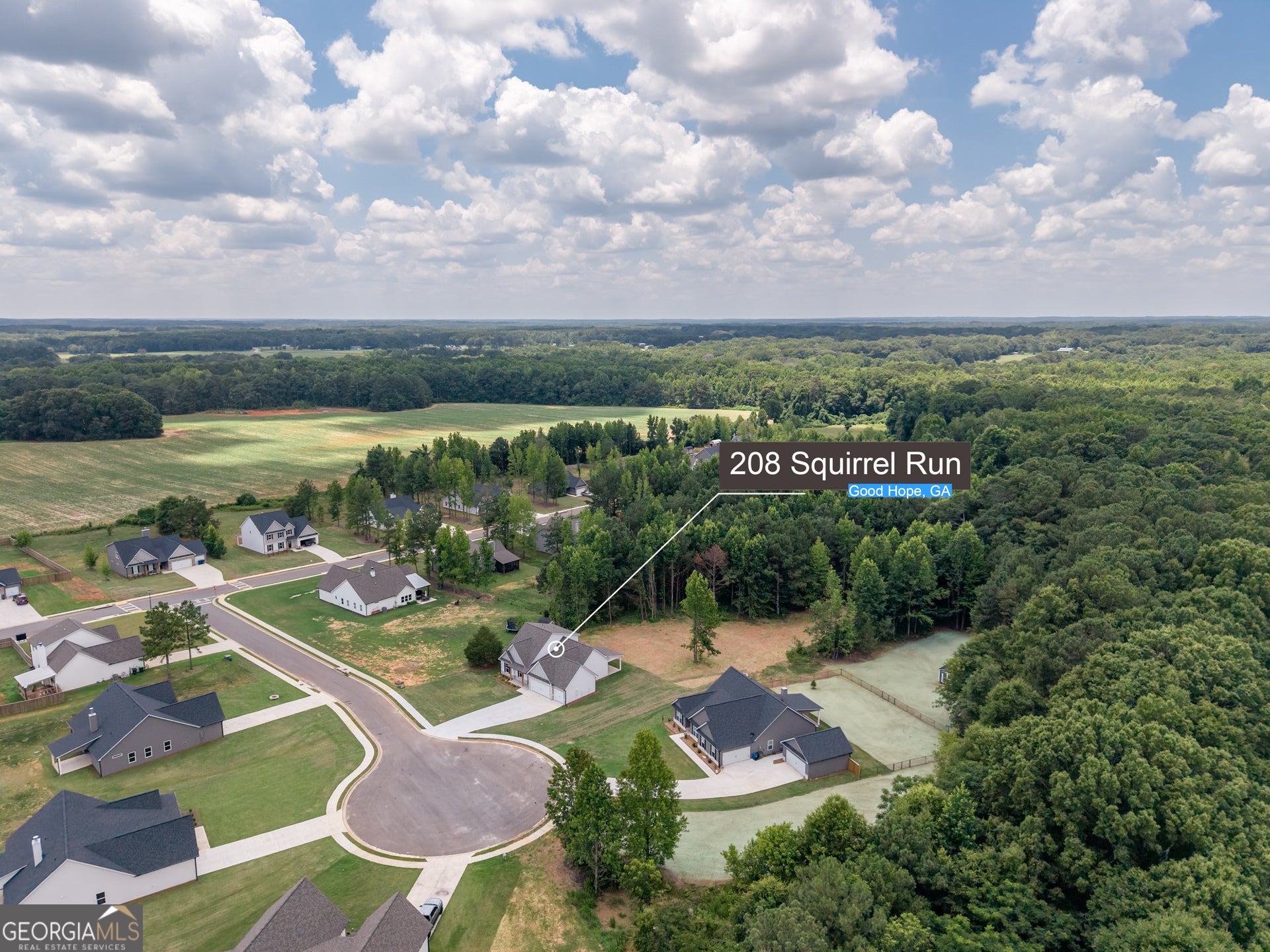 208 Squirrel RUN