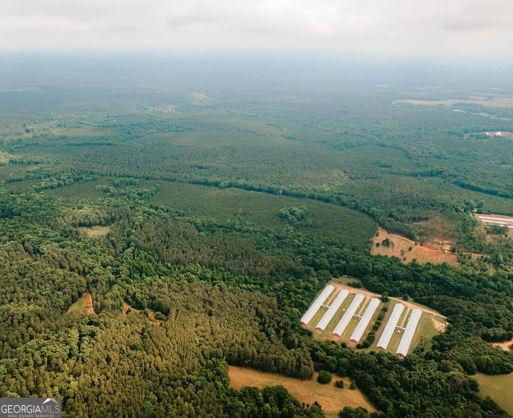 Photo of 0 Stephens Salem Road, Stephens, GA 30667 (MLS # 10777838)