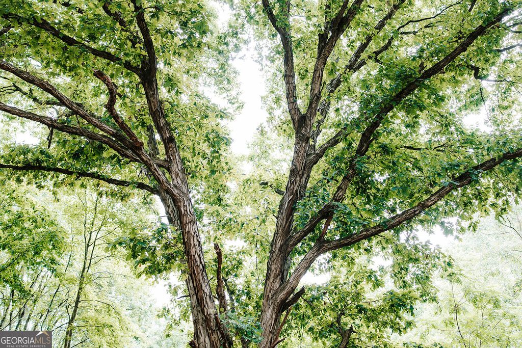 Photo of 0 Stephens Salem Road, Stephens, GA 30667 (MLS # 10777838)