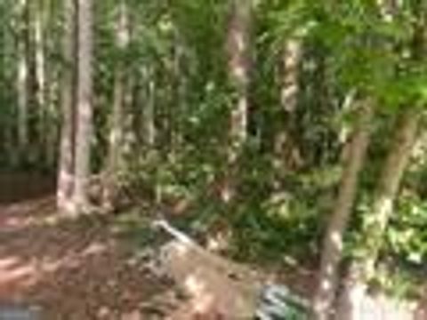 Photo of 578 Bristle Cone Drive, Macon, GA 31220 (MLS # 10305849)