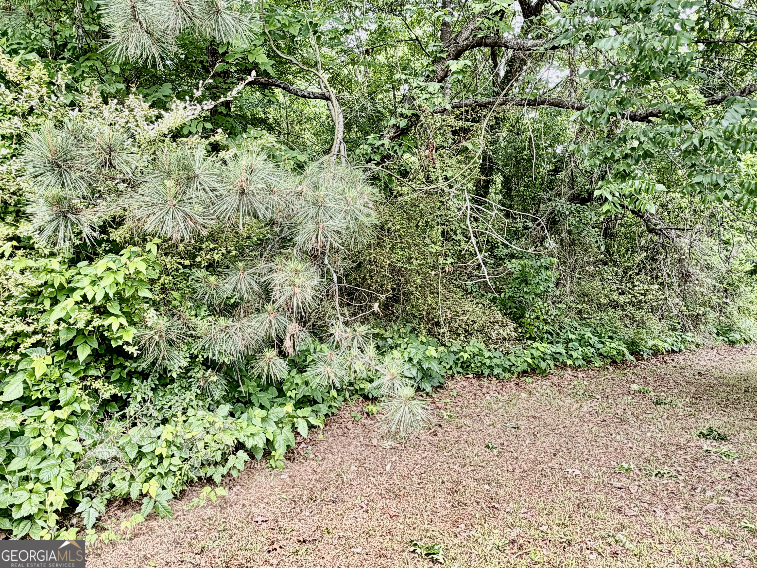 3041 Martha Berry HWY NW
