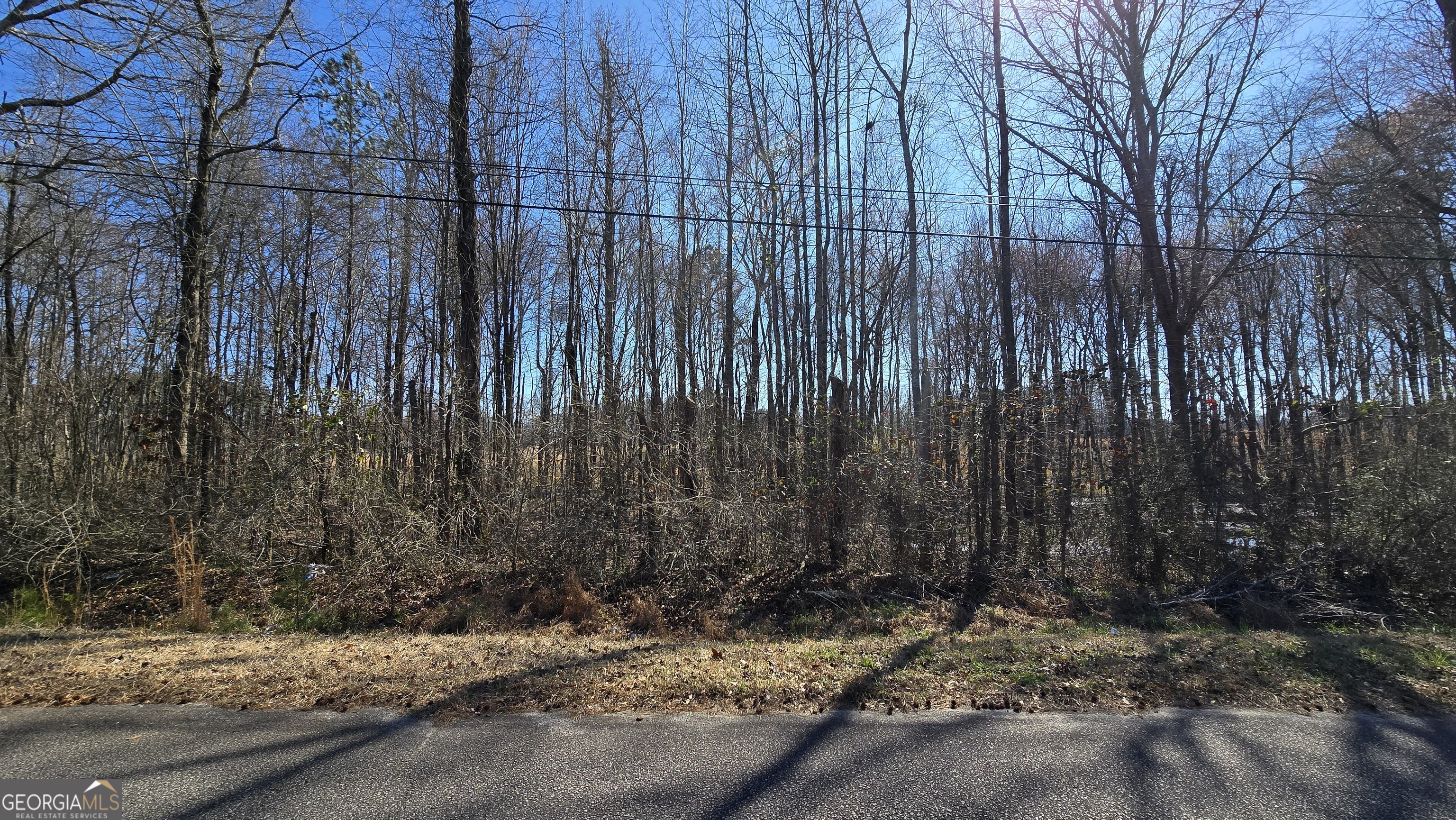 1110 Spring Creek Cir