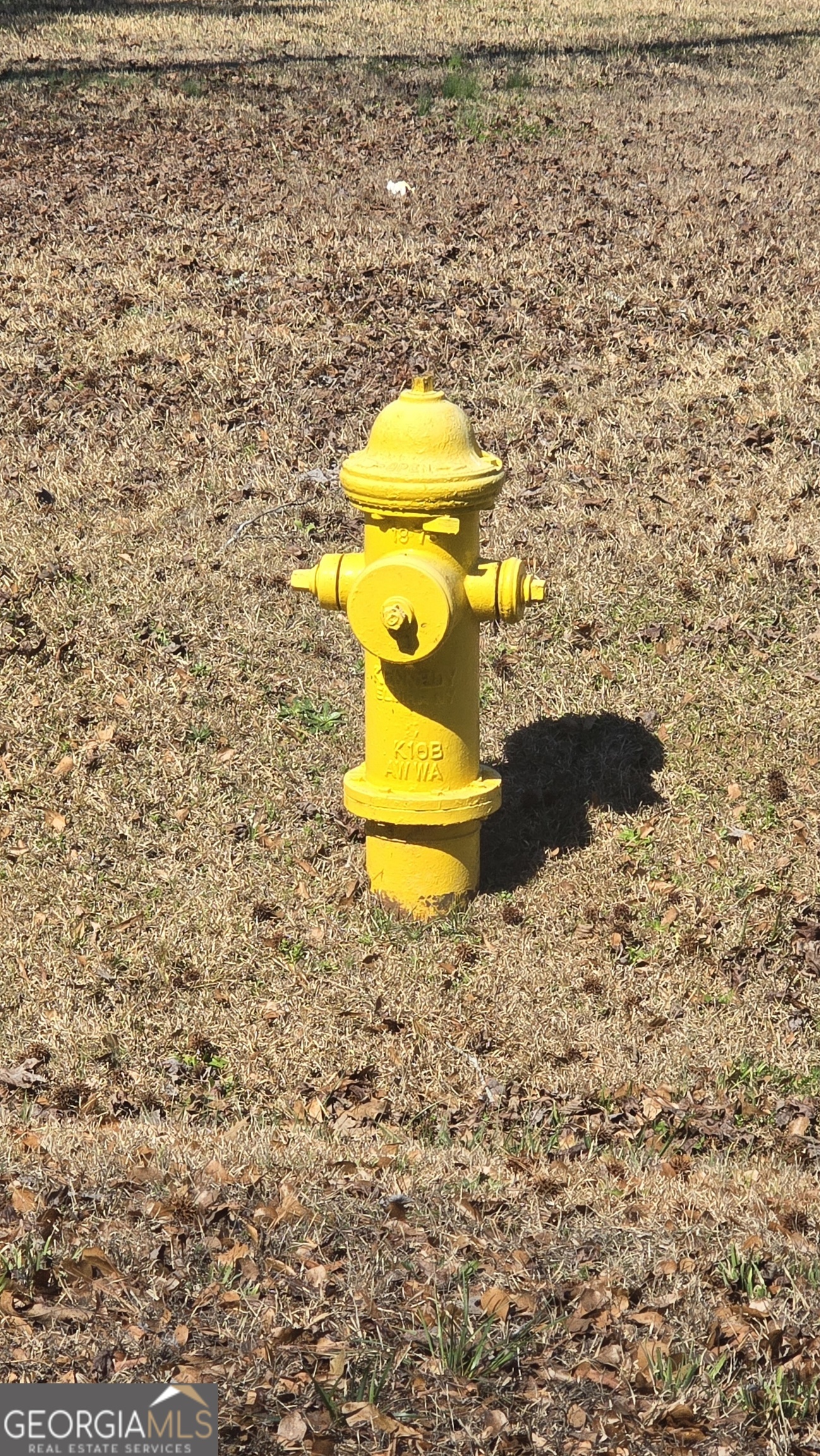 1110 Spring Creek Cir