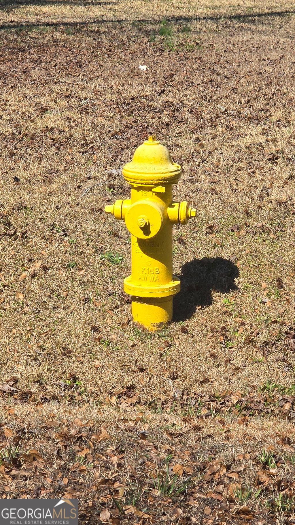 Photo of 1110 Spring Creek Cir, Griffin, GA 30223 (MLS # 10700504)