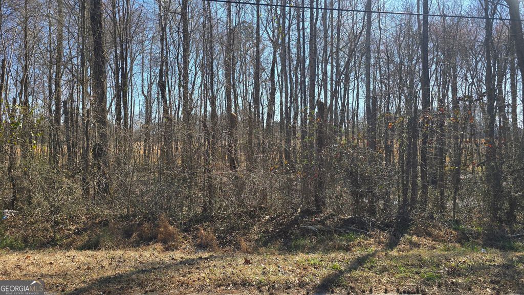 Photo of 1110 Spring Creek Cir, Griffin, GA 30223 (MLS # 10700504)