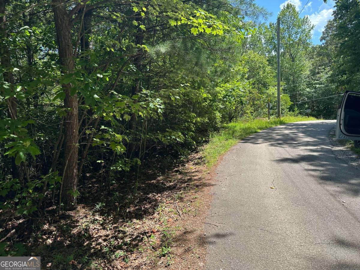 Stunning Mountain View Lot. Just 10 Minutes from Helen! Build your dream home or cabin on this beautiful elevated lot nestled in the North Georgia mountains. Just a short drive from the charming town of Helen, this property offers breathtaking long-range mountain views and peaceful surroundings. With road and power access on three sides, you'll have endless possibilities for building and layout. Whether you're planning a weekend getaway or a full-time mountain retreat, this high-elevation lot is the perfect place to bring your vision to life.